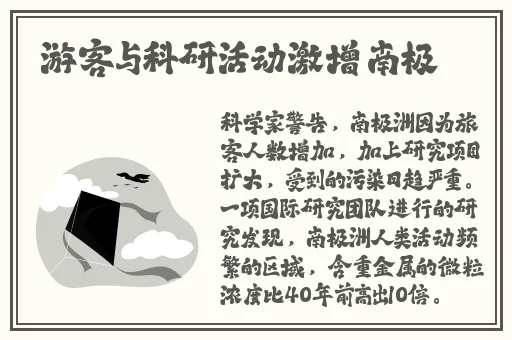 嫩叶草隐藏路线